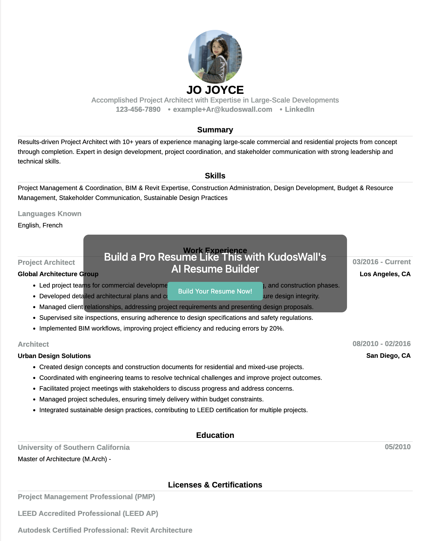 Project Architect Resume Example