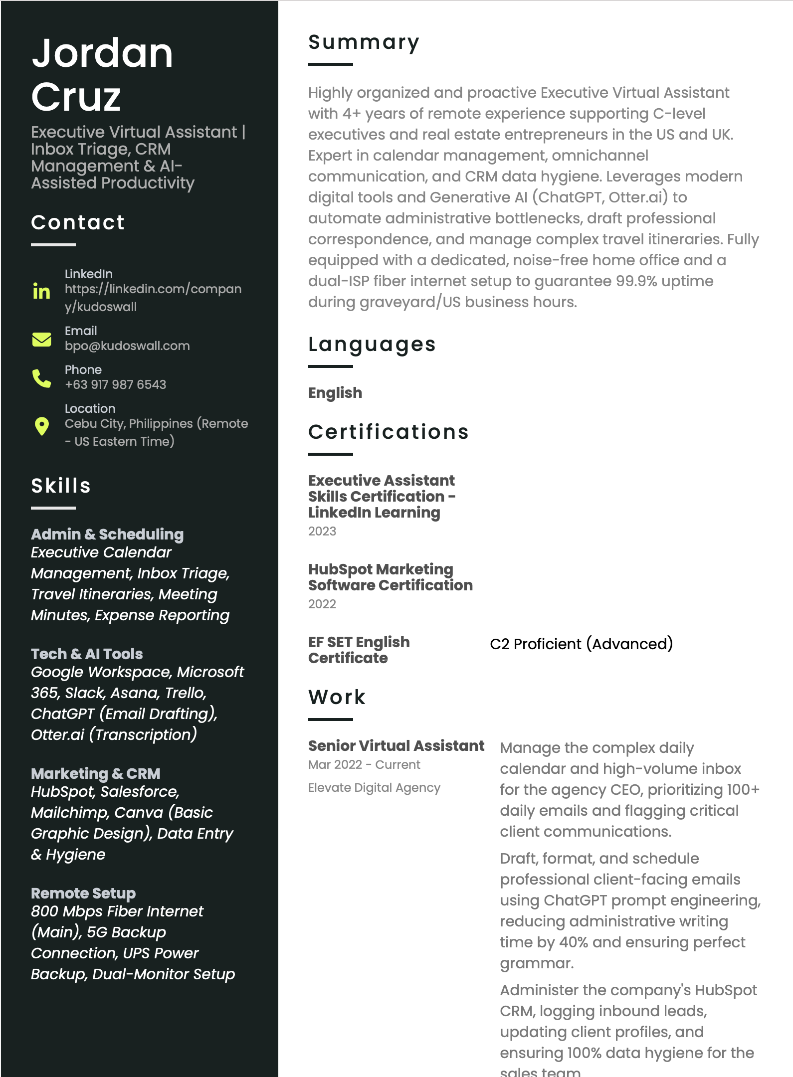 Virtual Assistant Resume Template