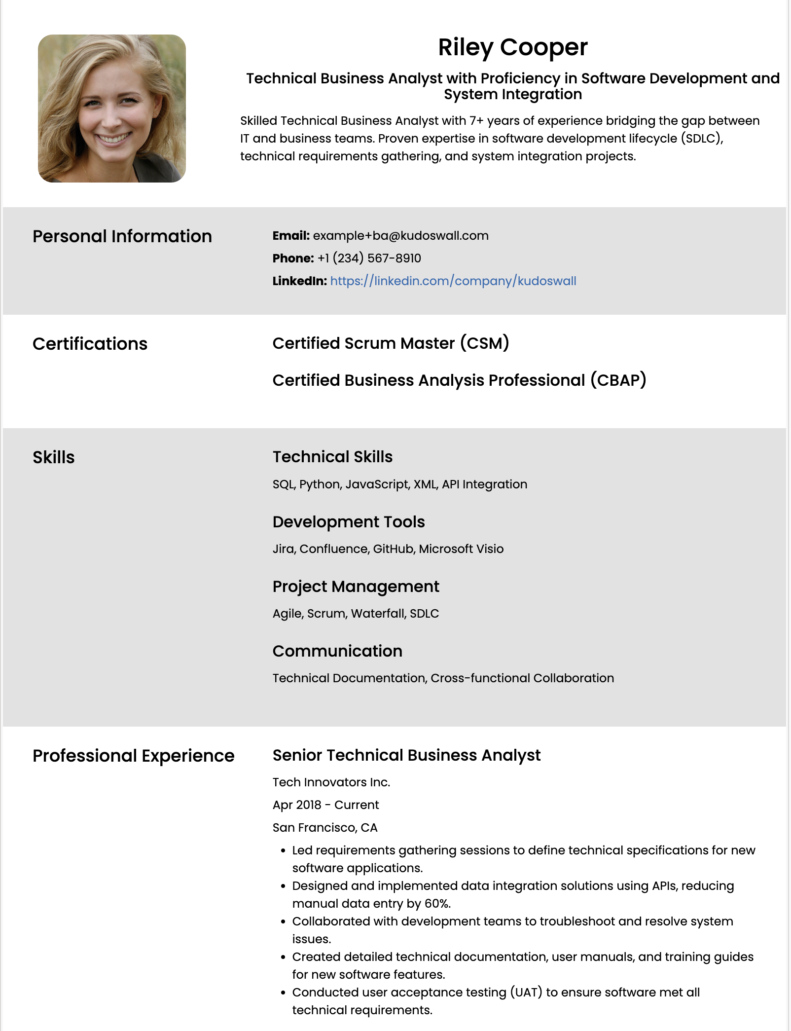 Technical Business Analyst Resume