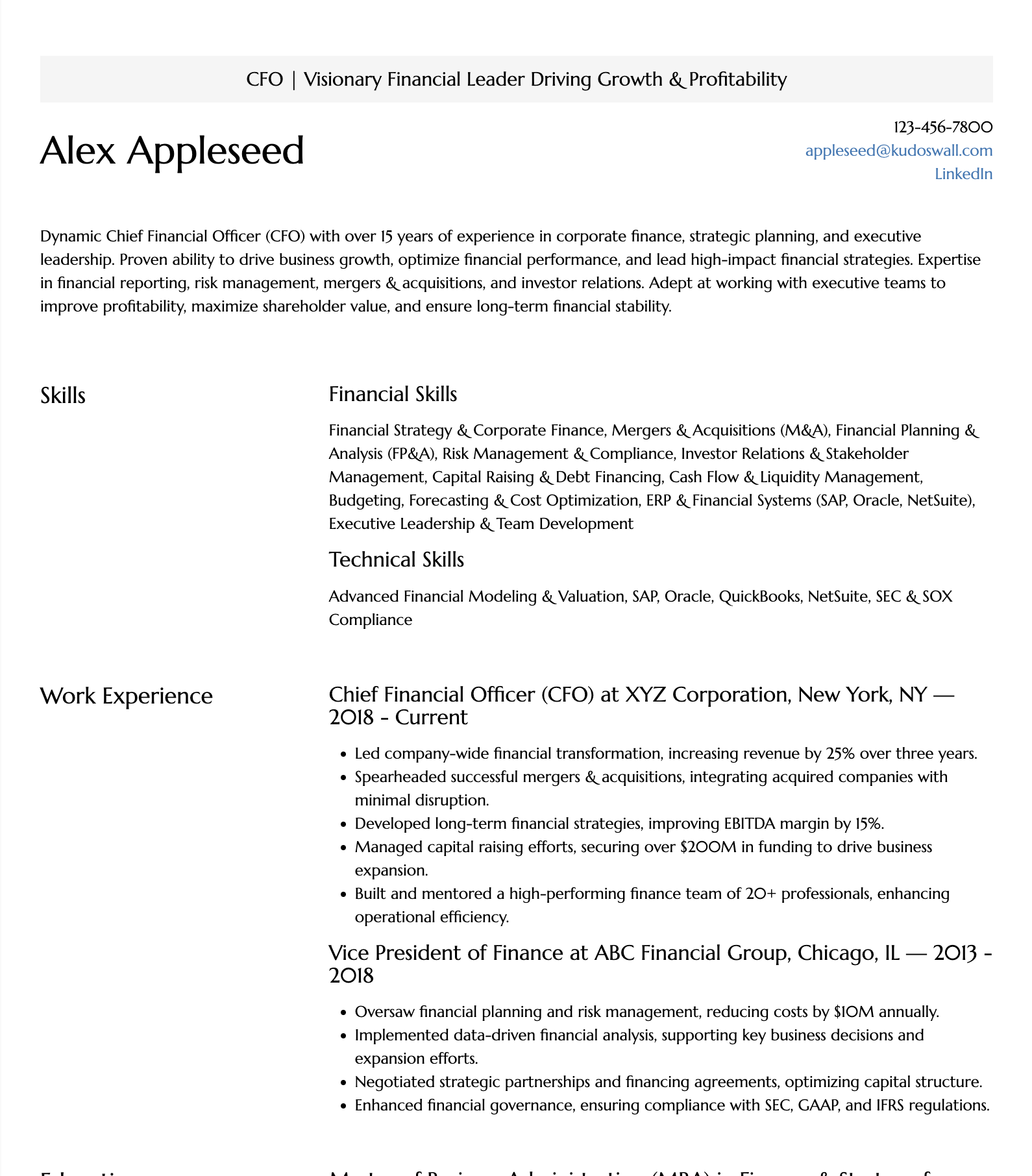 Chief Financial Officer (CFO) Resume Sample