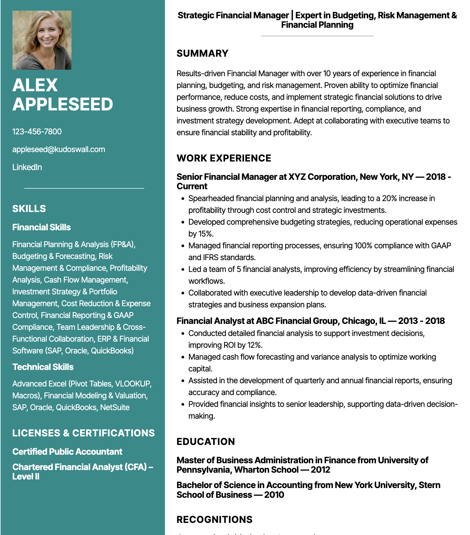 Financial Manager Resume Sample