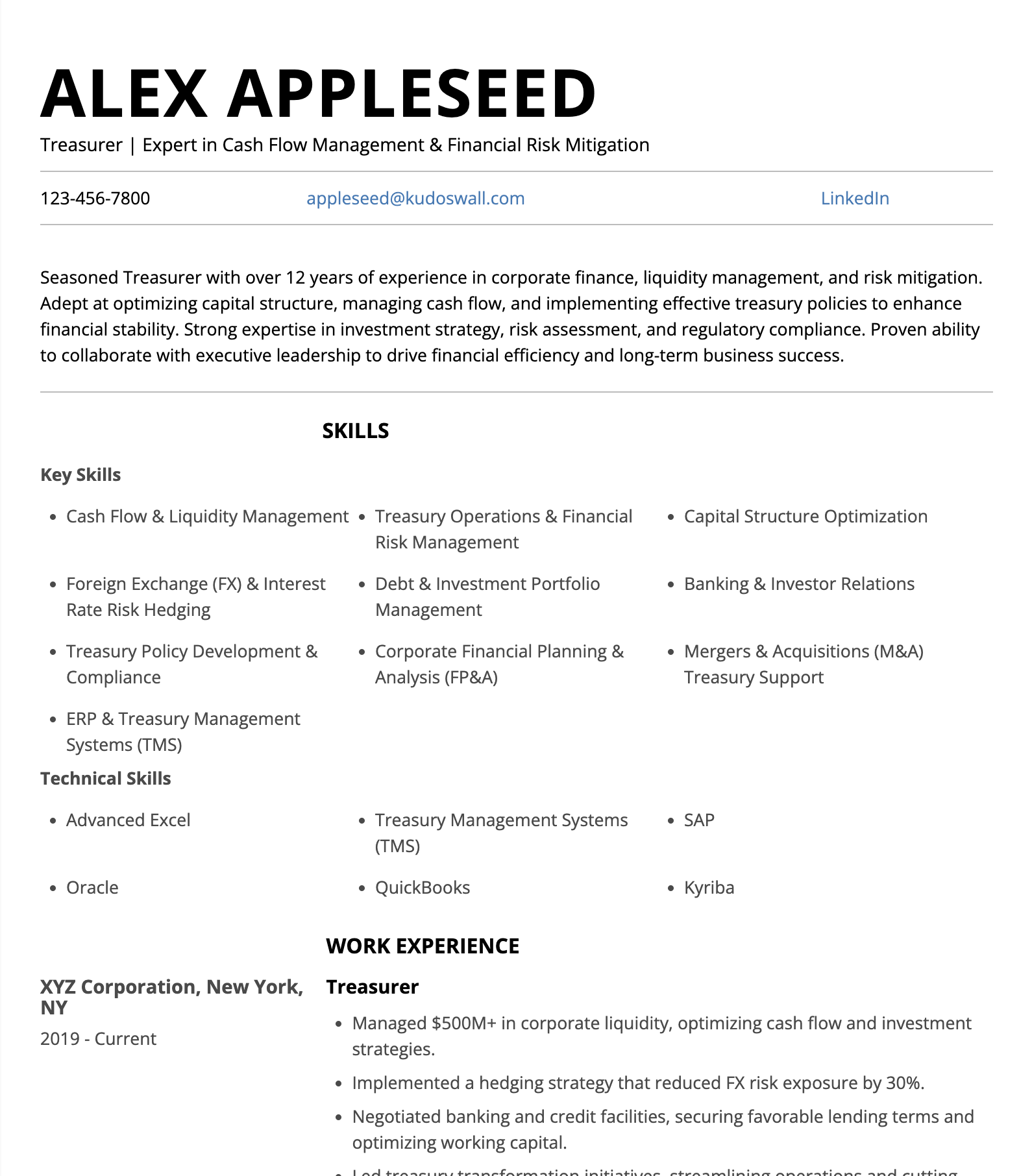 Treasurer Resume Sample