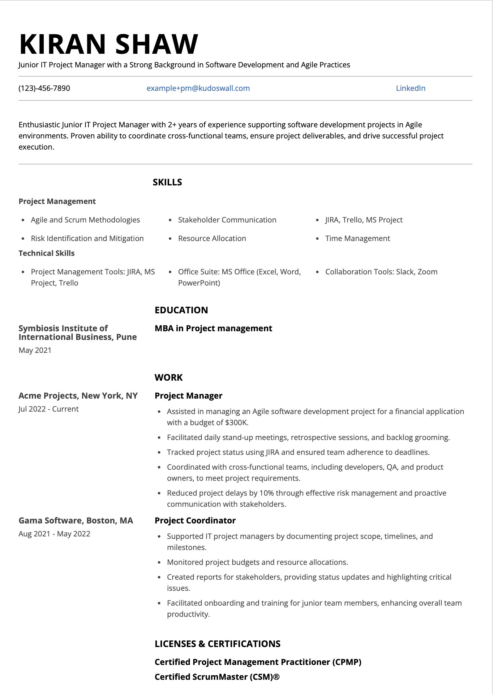 Junior IT Project Manager Resume